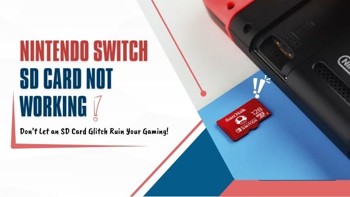 nintendo switch sd card not working