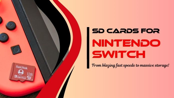 nintendo switch sd cards